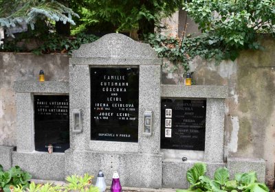 Most - městský, Omnium, 2018