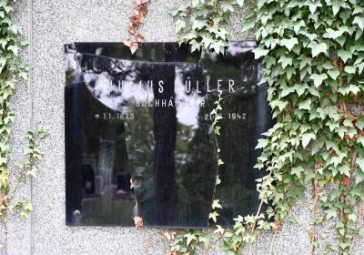 Most - městský, Omnium, 2018