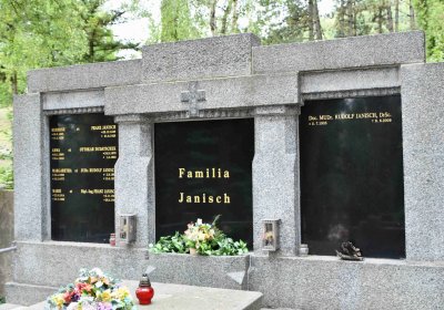 Most - městský, Omnium, 2018