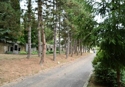 Most - městský, Omnium, 2018