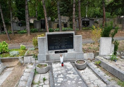 Most - městský, Omnium, 2018