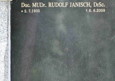 Most - městský, Omnium, 2018