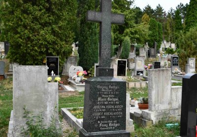 Most - městský, Omnium, 2018