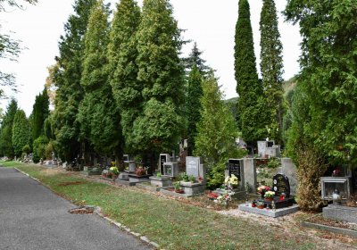 Most - městský, Omnium, 2018