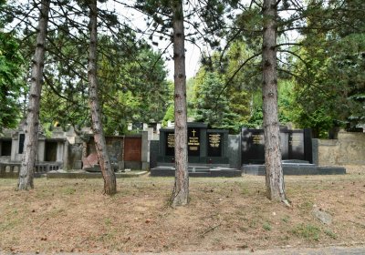 Most - městský, Omnium, 2018