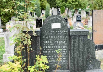 Most - městský, Omnium, 2018