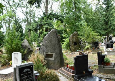 Most - městský, Omnium, 2018