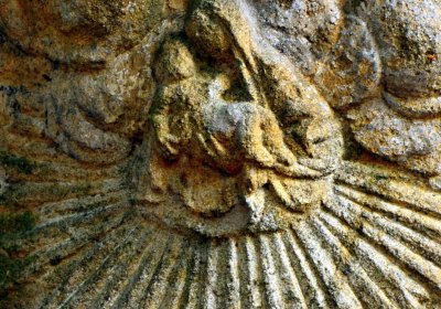 Šimůnek Tomáš, 2016