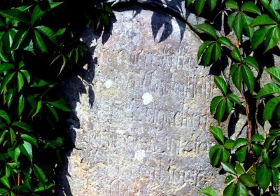 Šimůnek Tomáš, 2016