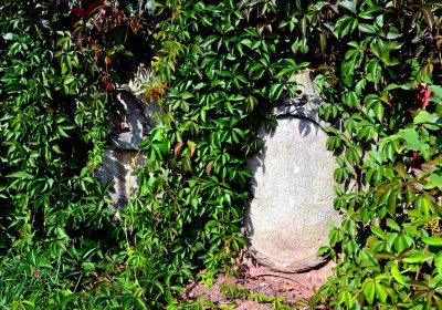 Šimůnek Tomáš, 2016