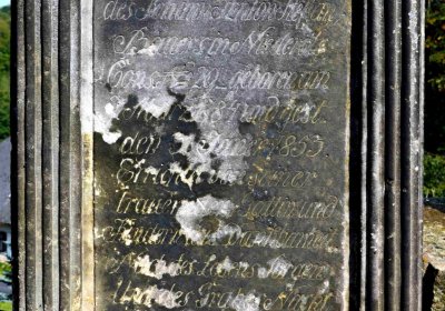 Šimůnek Tomáš, 2016