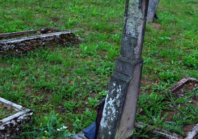 Šimůnek Tomáš, 2016