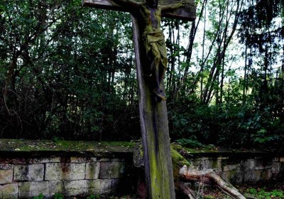 Šimůnek Tomáš, 2016