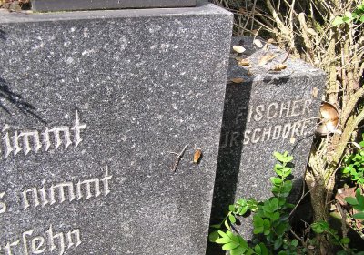 Pulkrtová Eva, 2009