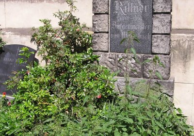 Pulkrtová Eva, 2009