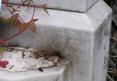 Pulkrtová Eva, 2009