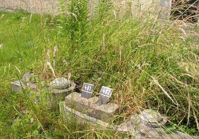 Pulkrtová Eva, 2009