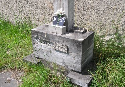 Pulkrtová Eva, 2009