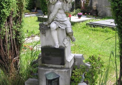 Pulkrtová Eva, 2009