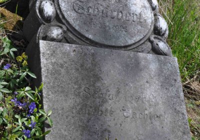 Evangelický hřbitov Česká Ves, Omnium, 2017