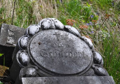 Evangelický hřbitov Česká Ves, Omnium, 2017