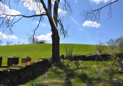 Evangelický hřbitov Česká Ves, Omnium, 2017