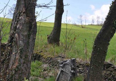 Evangelický hřbitov Česká Ves, Omnium, 2017