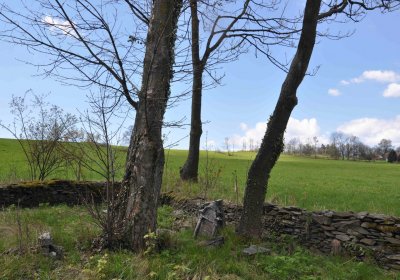 Evangelický hřbitov Česká Ves, Omnium, 2017