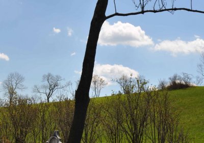 Evangelický hřbitov Česká Ves, Omnium, 2017