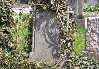 Pulkrtová Eva, 2009