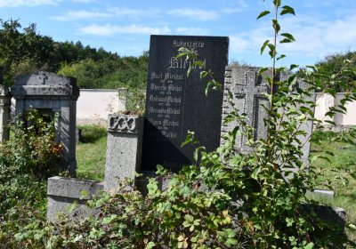 Malměřice, Omnium, 2020