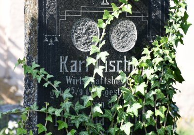 Malměřice, Omnium, 2020