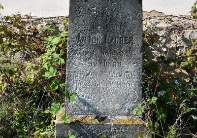 Malměřice, Omnium, 2020