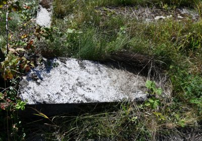 Malměřice, Omnium, 2020