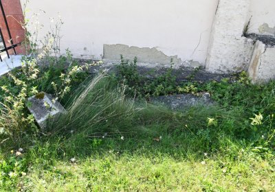 Malměřice, Omnium, 2020