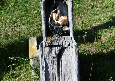 Malměřice, Omnium, 2020