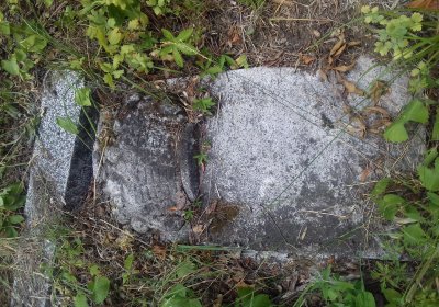 Kmínek Michal, 2019