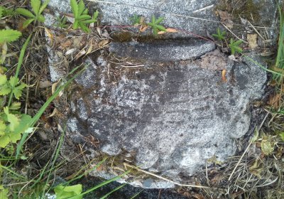 Kmínek Michal, 2019