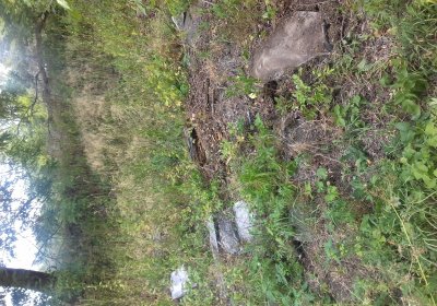 Kmínek Michal, 2019