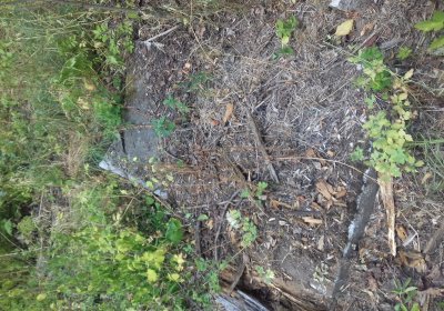 Kmínek Michal, 2019