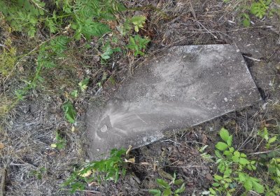 Kmínek Michal, 2019