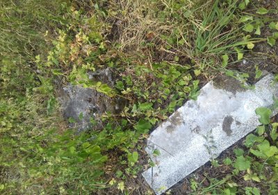 Kmínek Michal, 2019