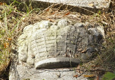 Sedláček Hugo, 2016