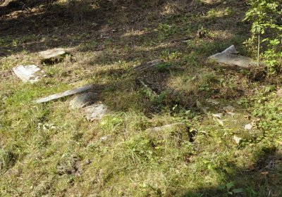 Sedláček Hugo, 2016