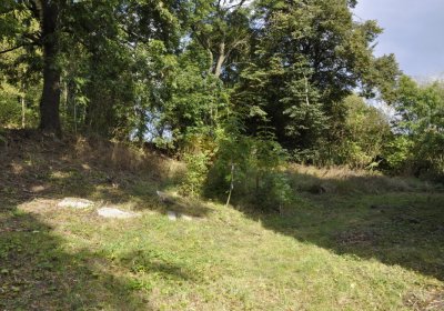 Sedláček Hugo, 2016