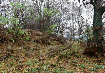 Blatno u Chomutova, Omnium, 2020