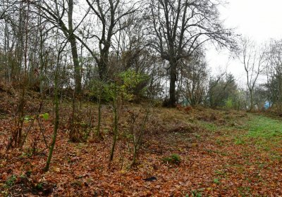 Blatno u Chomutova, Omnium, 2020