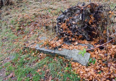 Blatno u Chomutova, Omnium, 2020