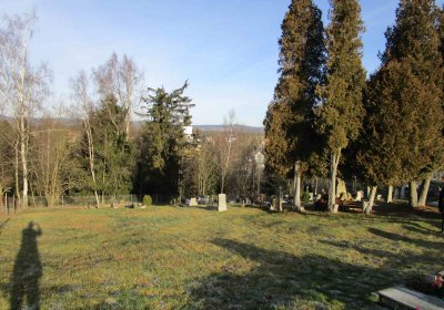 Jindřichovice, Ocelák Radek, 2016