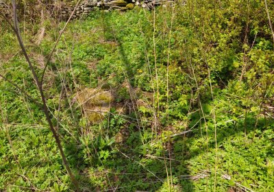 Hřbitov Heřmanovice, Omnium, 2017